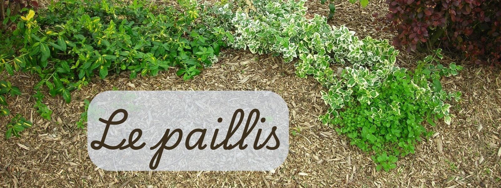 Le paillis